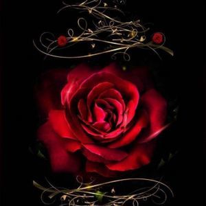 Meet your Posher, Ann